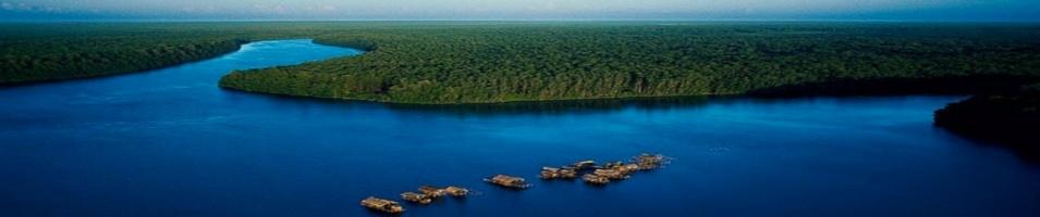 Orinoco Delta
